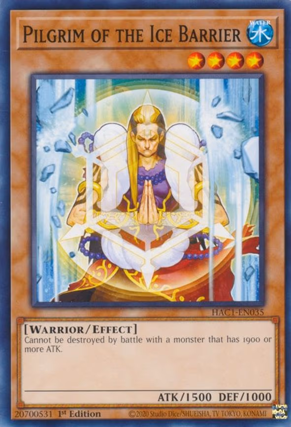 Pilgrim of the Ice Barrier