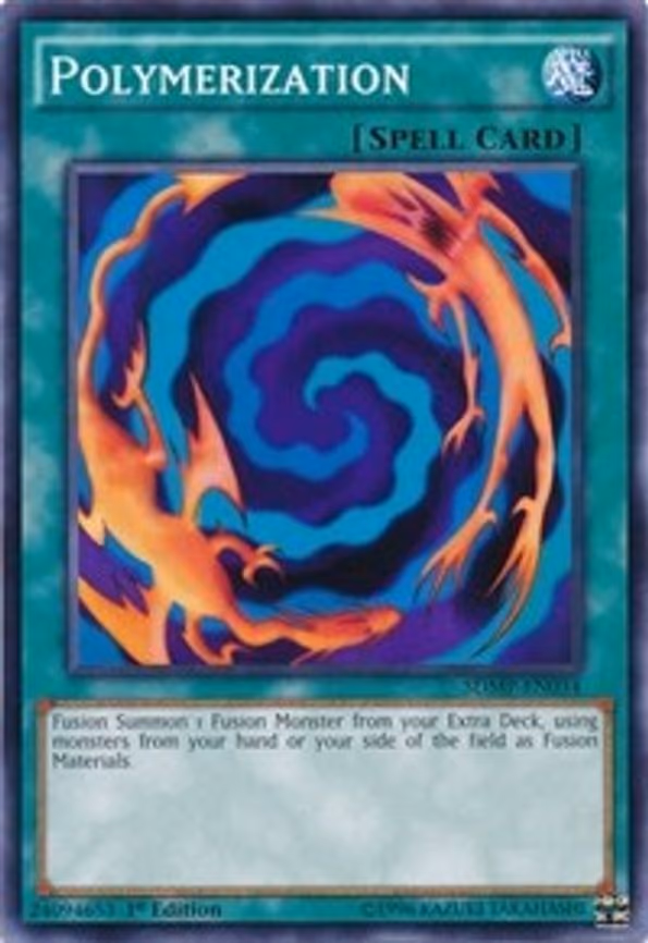 Polymerization - Common (SDMP-EN034)