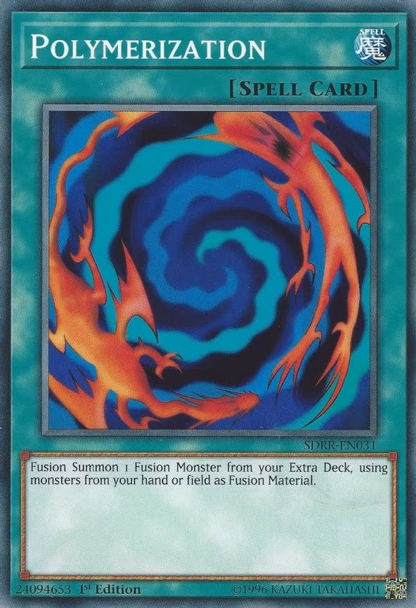 Polymerization - Common (SDRR-EN031)