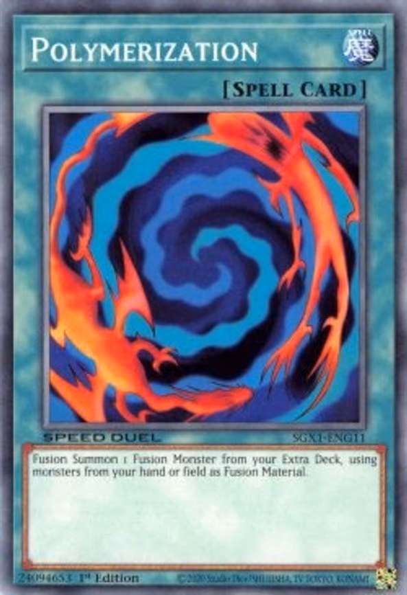 Polymerization - Common (SGX1-ENG11)