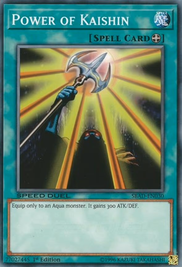 Power of Kaishin