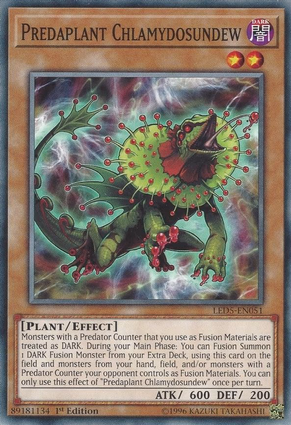 Predaplant Chlamydosundew