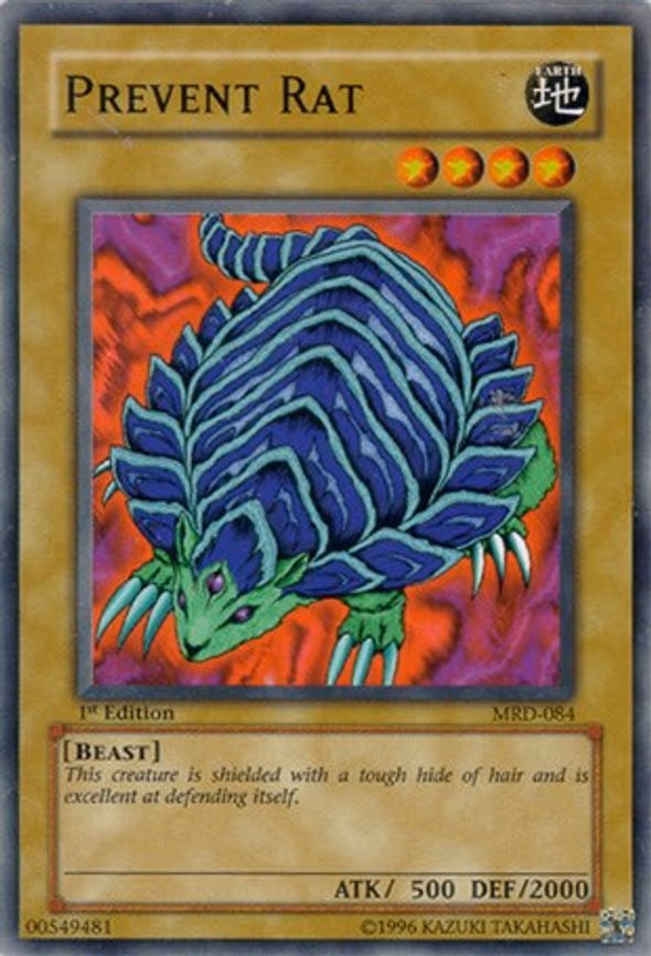 Prevent Rat