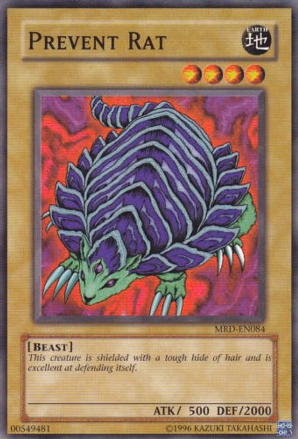 Prevent Rat