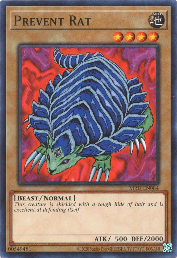Prevent Rat