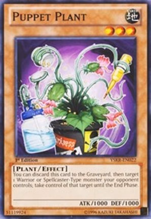 Puppet Plant