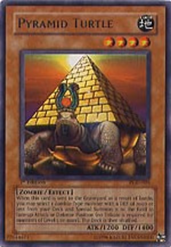 Pyramid Turtle