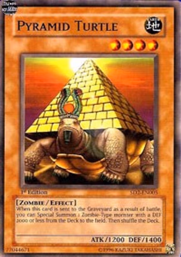 Pyramid Turtle