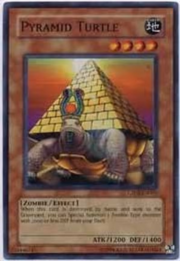 Pyramid Turtle