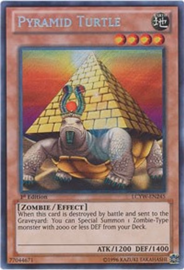 Pyramid Turtle