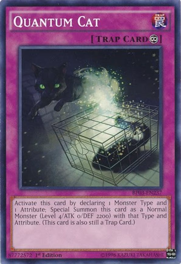 Quantum Cat