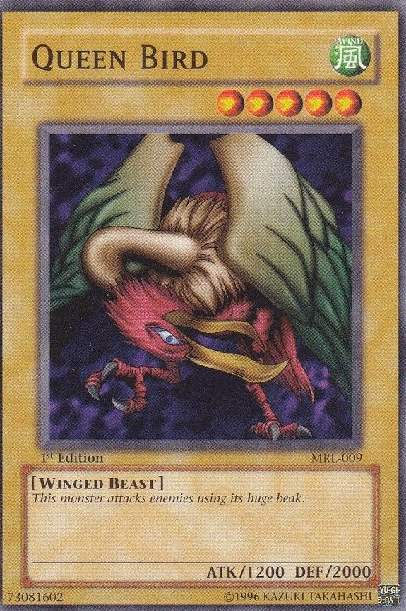 Queen Bird
