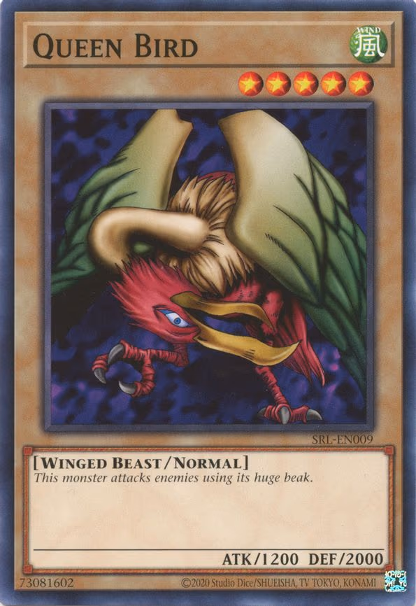 Queen Bird