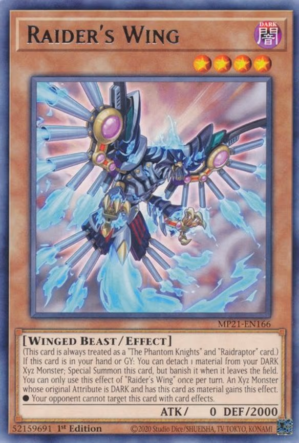 Raider's Wing