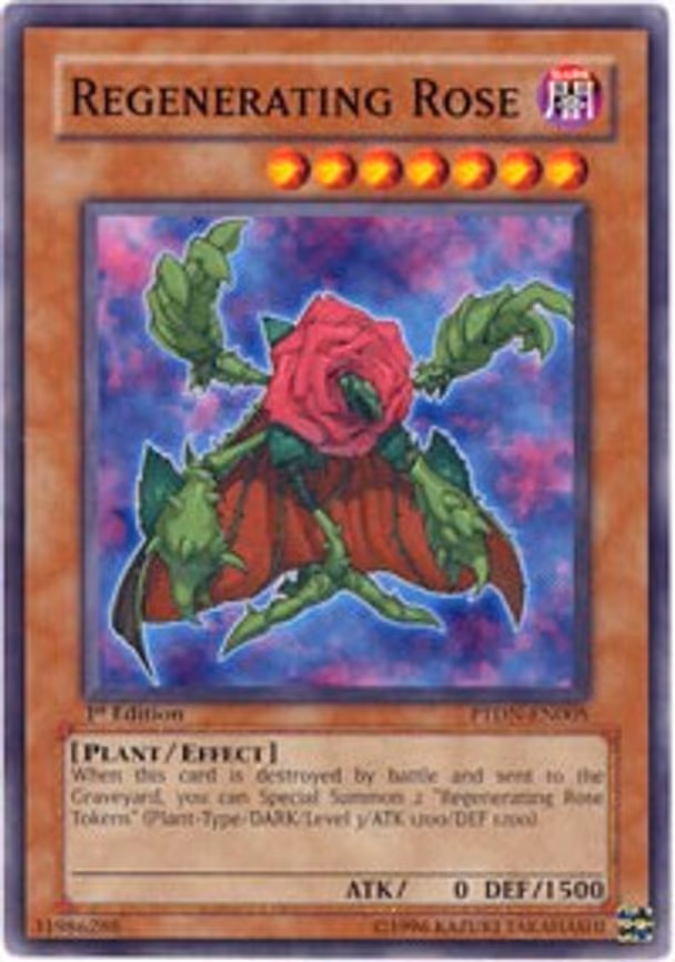 Regenerating Rose