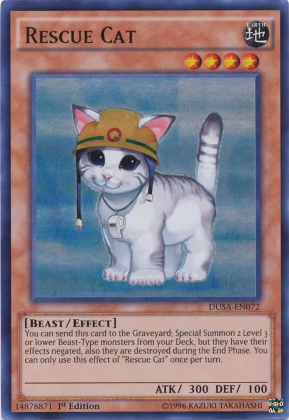 Rescue Cat