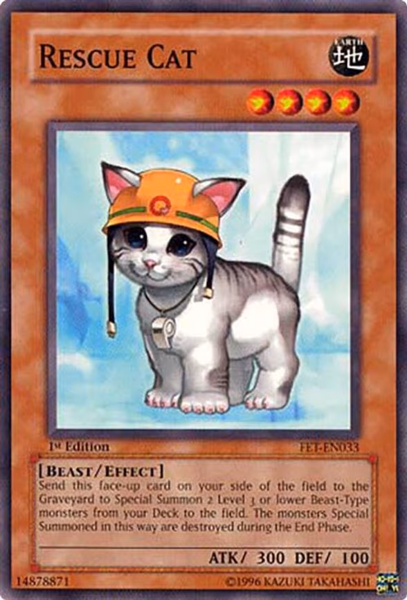 Rescue Cat