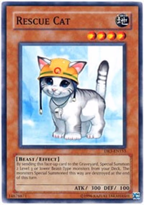 Rescue Cat