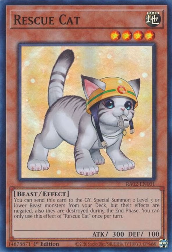 Rescue Cat