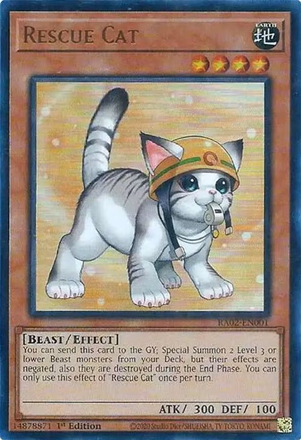 Rescue Cat