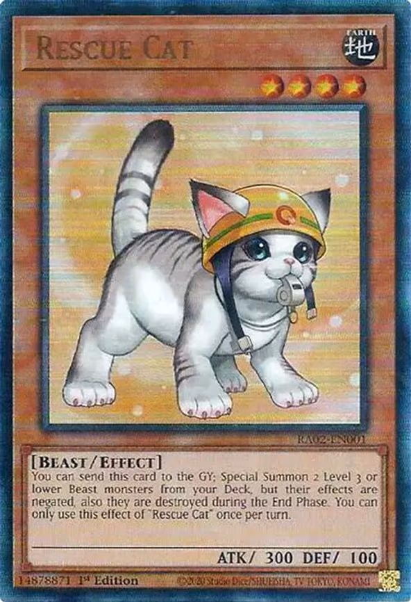 Rescue Cat