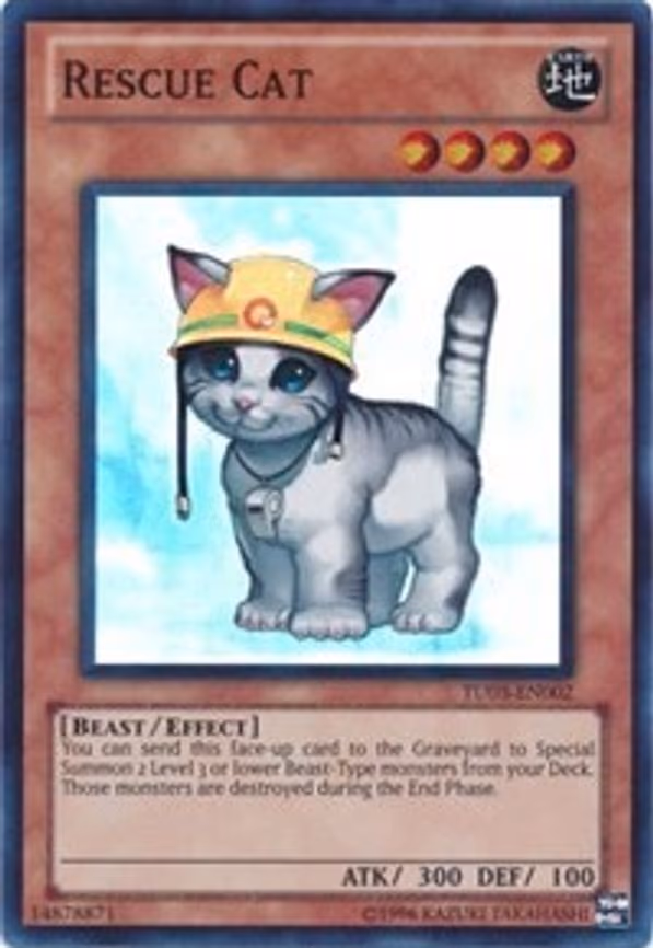 Rescue Cat