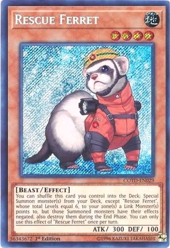Rescue Ferret