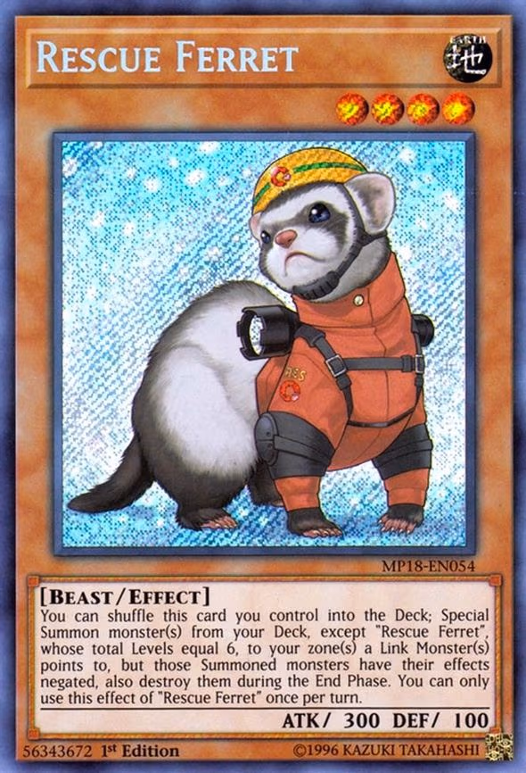 Rescue Ferret