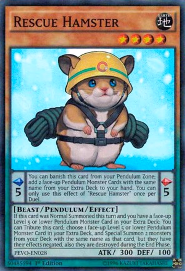 Rescue Hamster