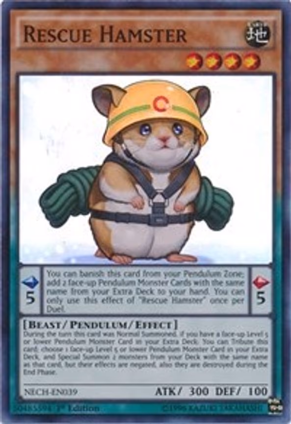 Rescue Hamster