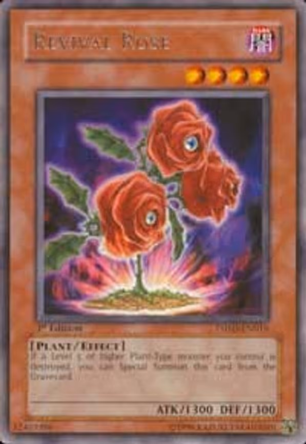 Revival Rose