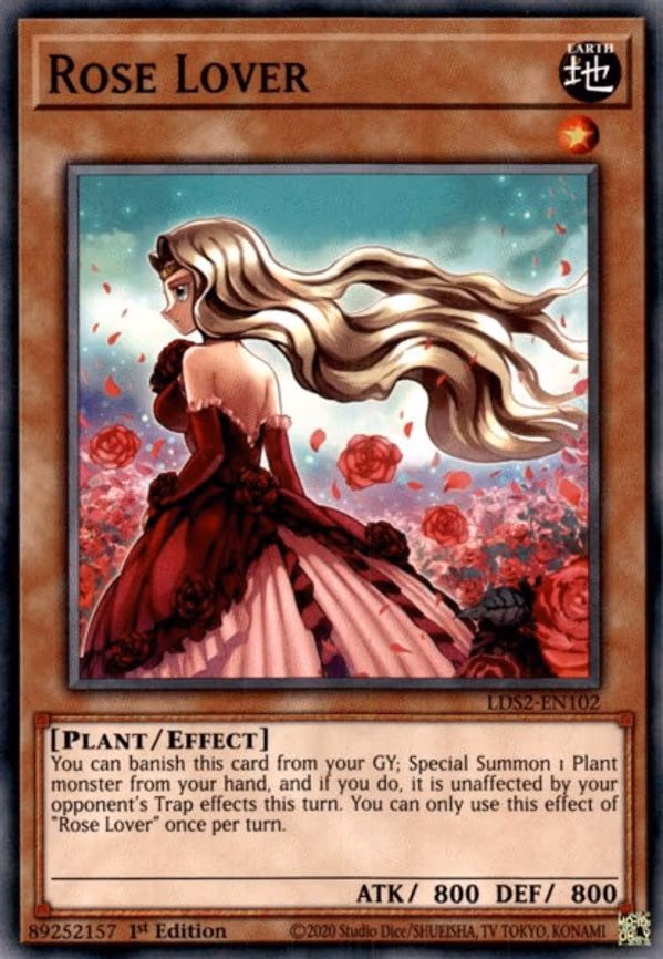 Rose Lover