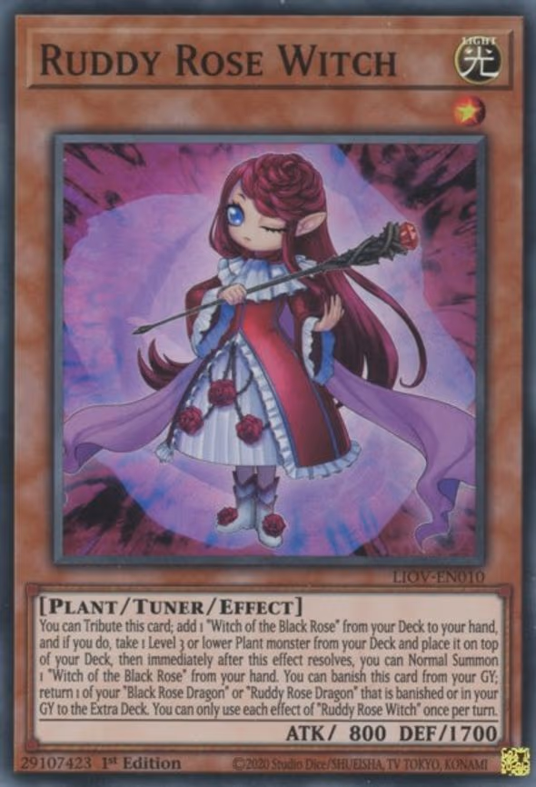 Ruddy Rose Witch
