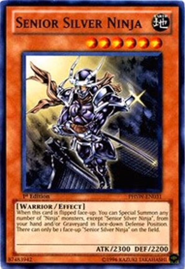 Senior Silver Ninja