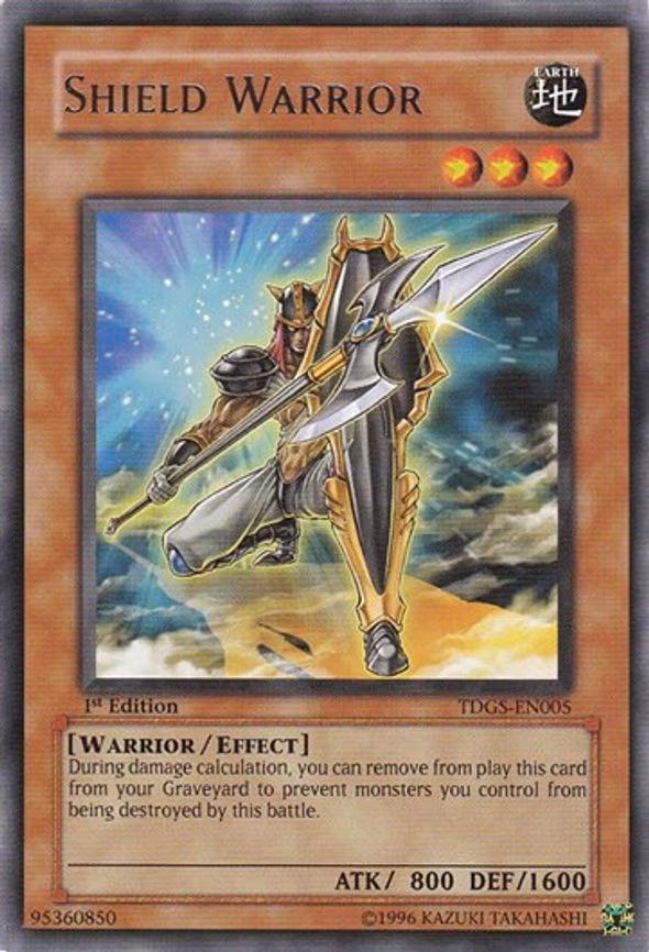 Shield Warrior