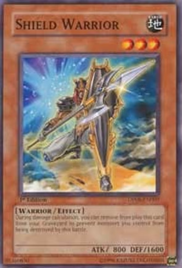 Shield Warrior