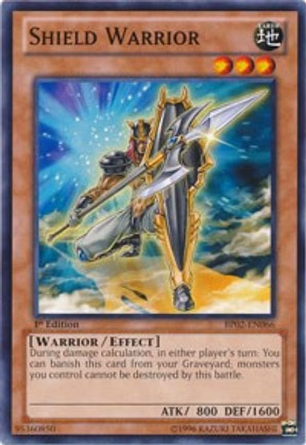Shield Warrior