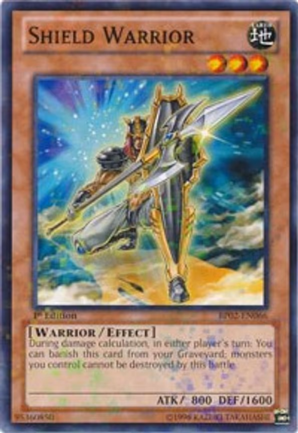 Shield Warrior