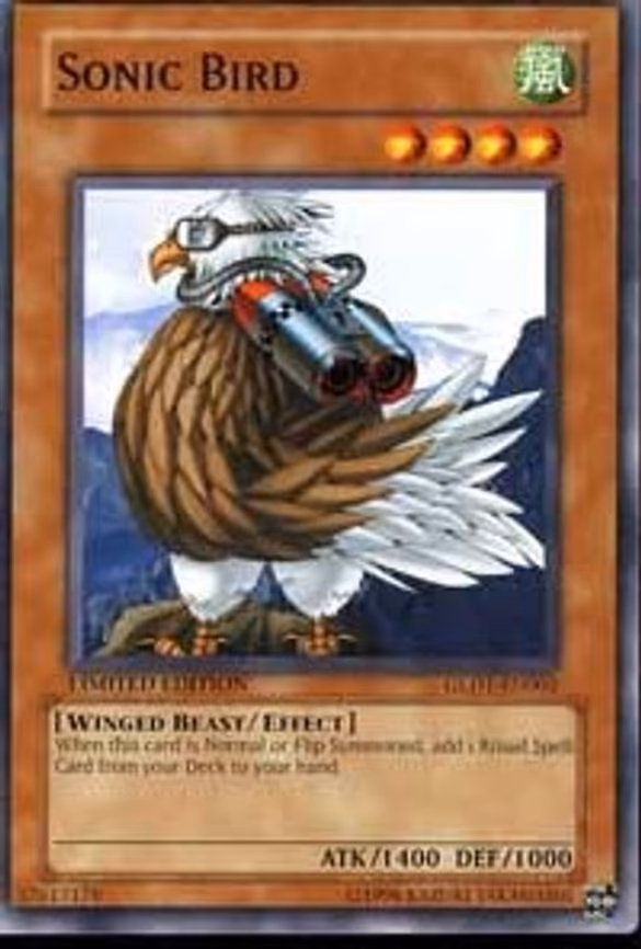 Sonic Bird