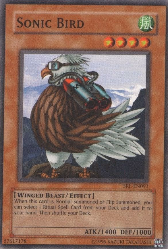 Sonic Bird
