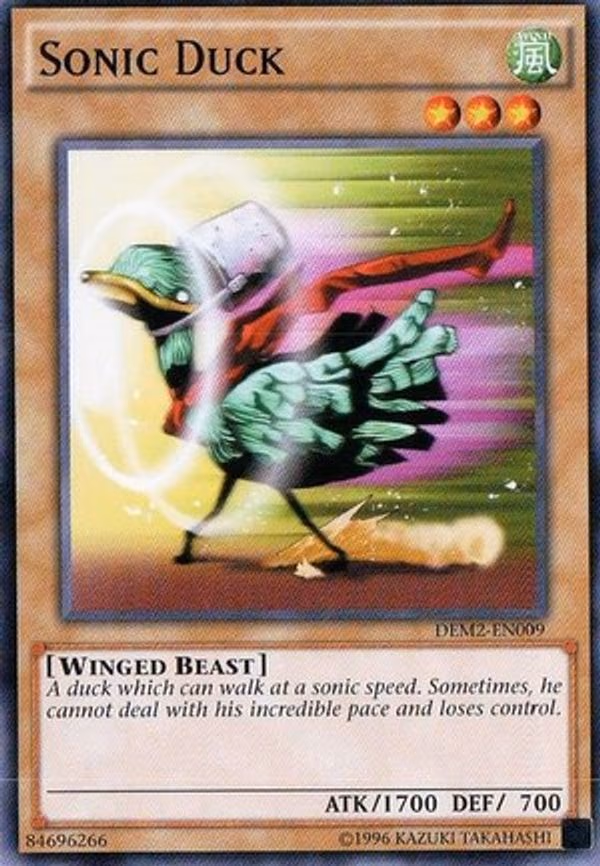 Sonic Duck