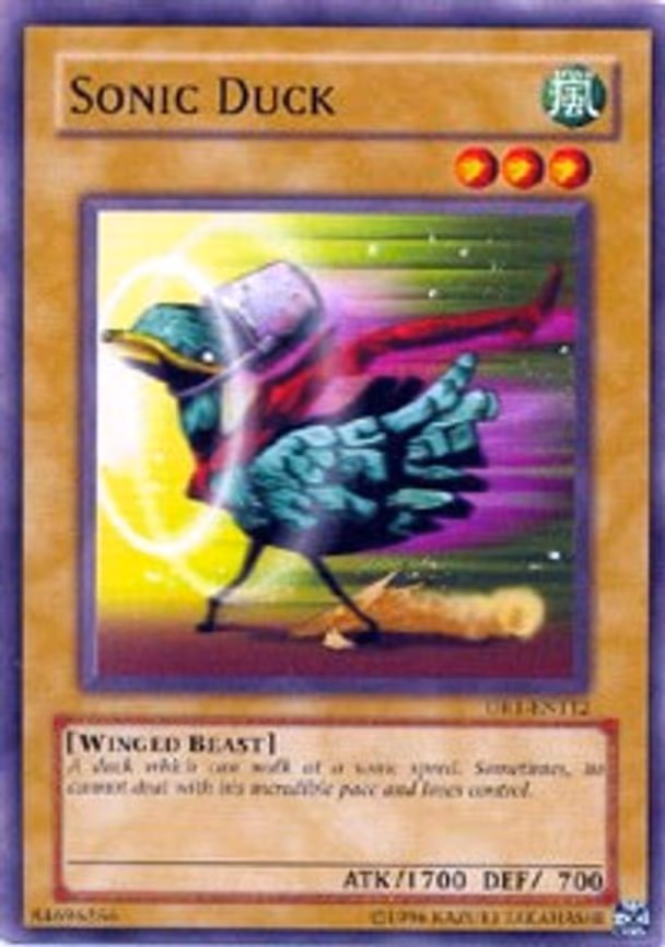 Sonic Duck