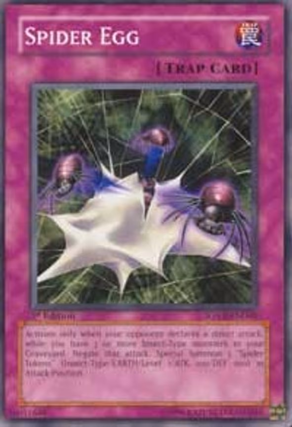 Spider Egg
