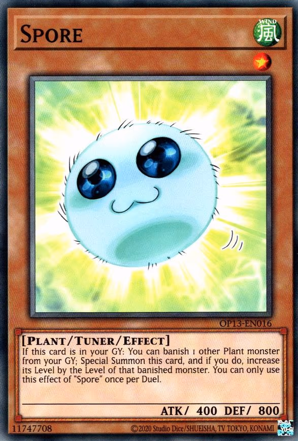 Spore