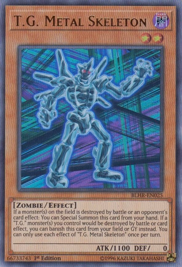 T.G. Metal Skeleton