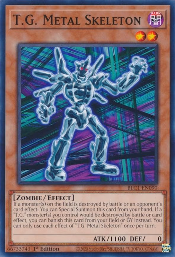 T.G. Metal Skeleton