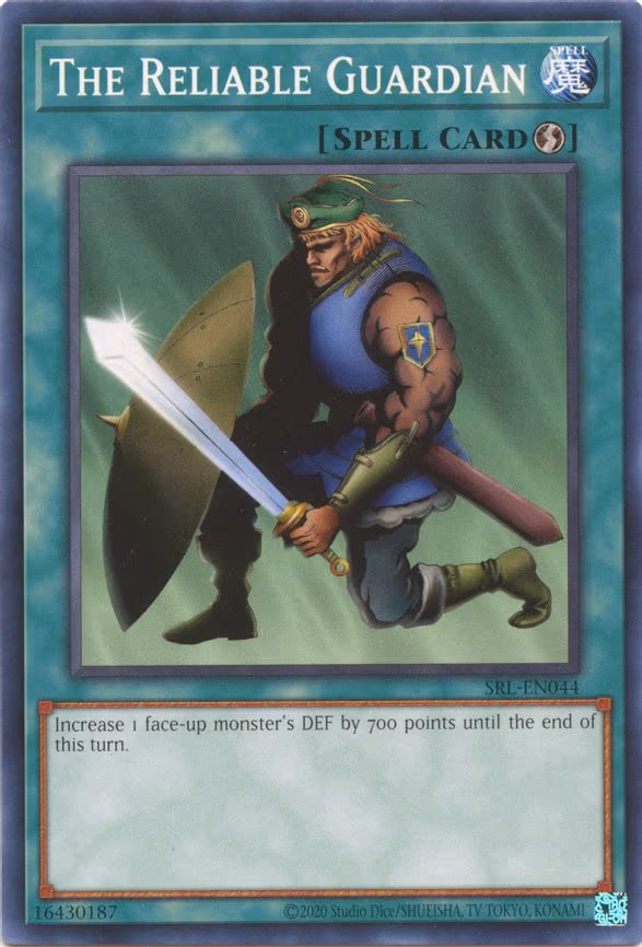 The Reliable Guardian