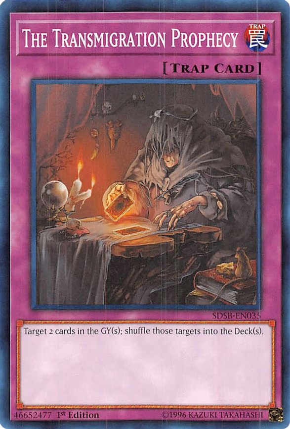 The Transmigration Prophecy