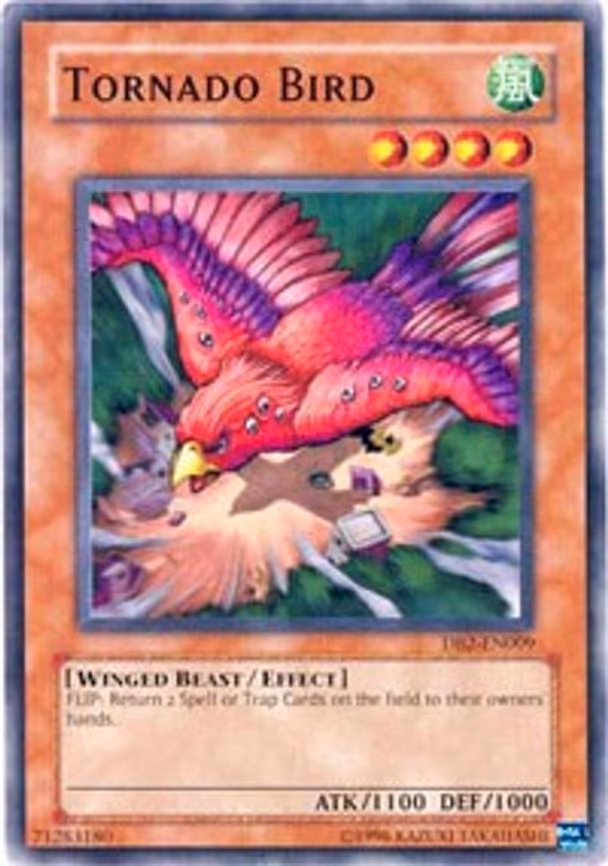 Tornado Bird