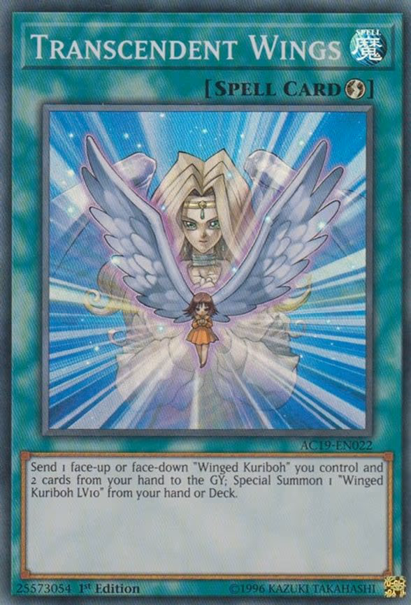Transcendent Wings